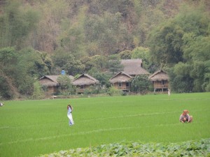 Laos Vietnam                       